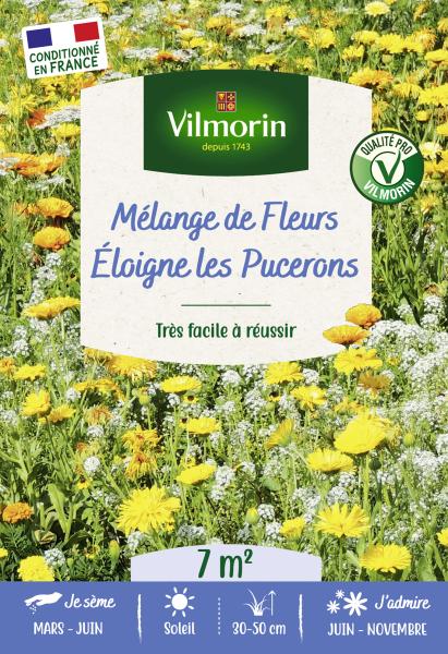 Mélanges de fleurs - Eloigne les Pucerons - 7 m² - Mélange de fleurs - PACKAGING_RECTO